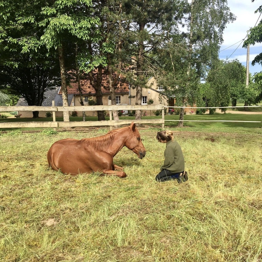 Nobiron Psychologue Vannes Saint-Avé