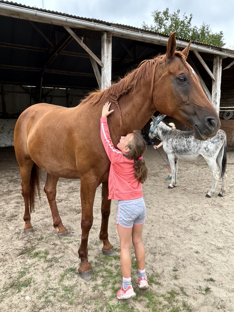 Médiation équine, Vendée, Psychologue Soullans