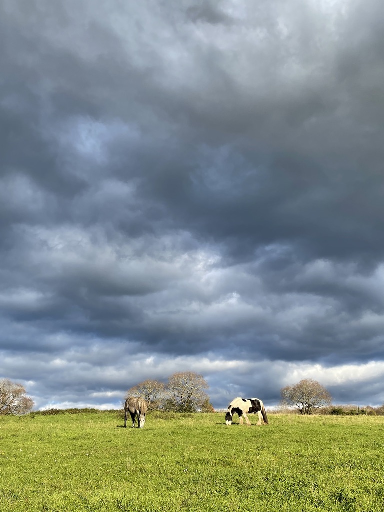 E9E9C767-D0FF-414C-B9BF-0BC4BAABA80F_1_105_c