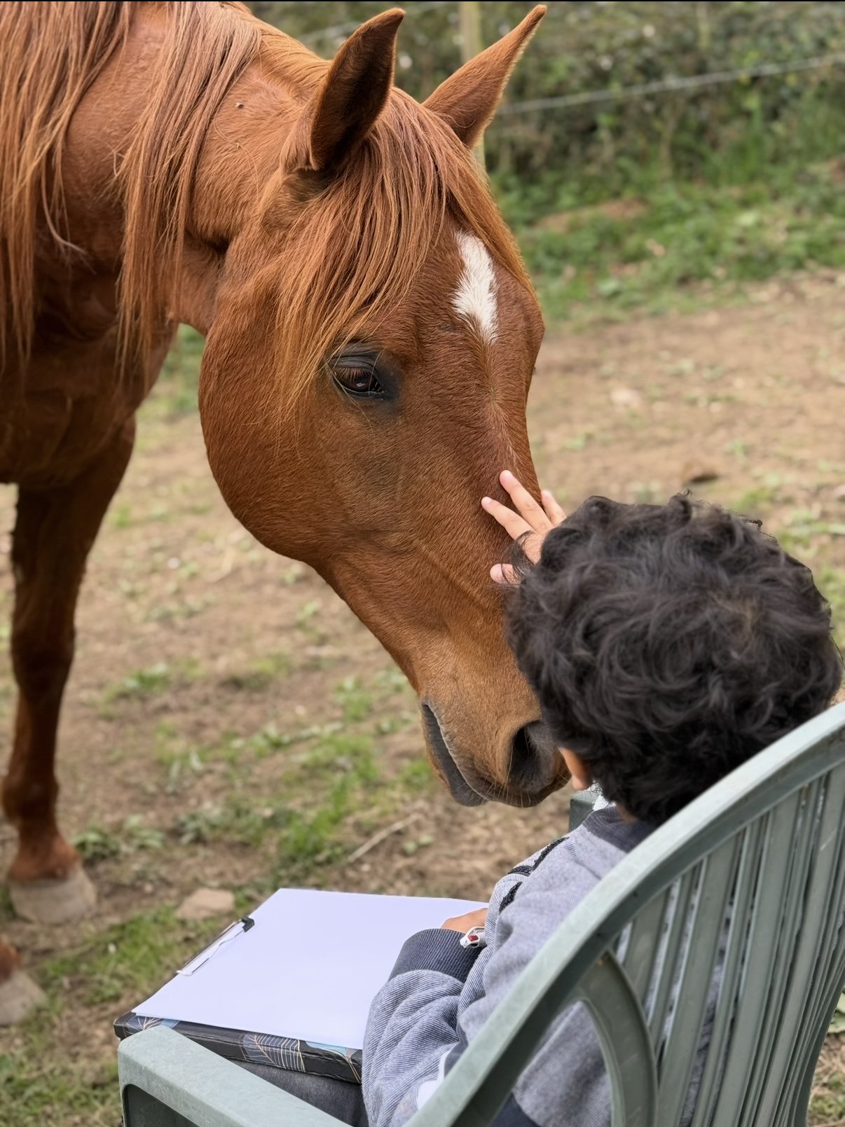 Equithérapie Soullans